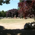 p18dtnarv7n01de7rl1ls2h653