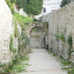 Parco_Ranghiasci_2