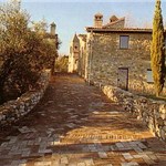 p16qlhj66rr1p1fin1nh37uf1j363