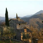 p16qlhj66skoj1du1g50cp8131e4