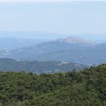 p16r094ojv1eq1es211op1vctb6p3