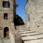 134581-549X800-343X500