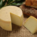 Caciotta