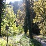 p199h5aiol1he41j4k18vbppdti94