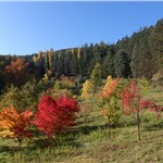 p199h5aiomq6n1eernch16r8r5b6