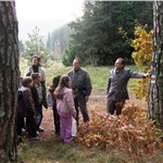 p199h5aion12bu1mcm1aeo55eut98