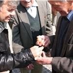 p198t11mvqjoq1ibd5tv19bbfs17