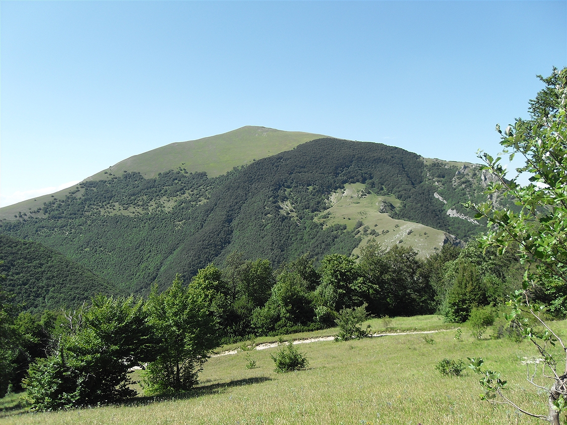 Festival of the Mountain