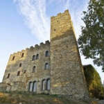 116276-800X531-300X199