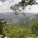 p16qvj85tg10scna710k5ol41kj23