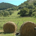 p16qvjkv7i1vld59tcjmjv11qkg3